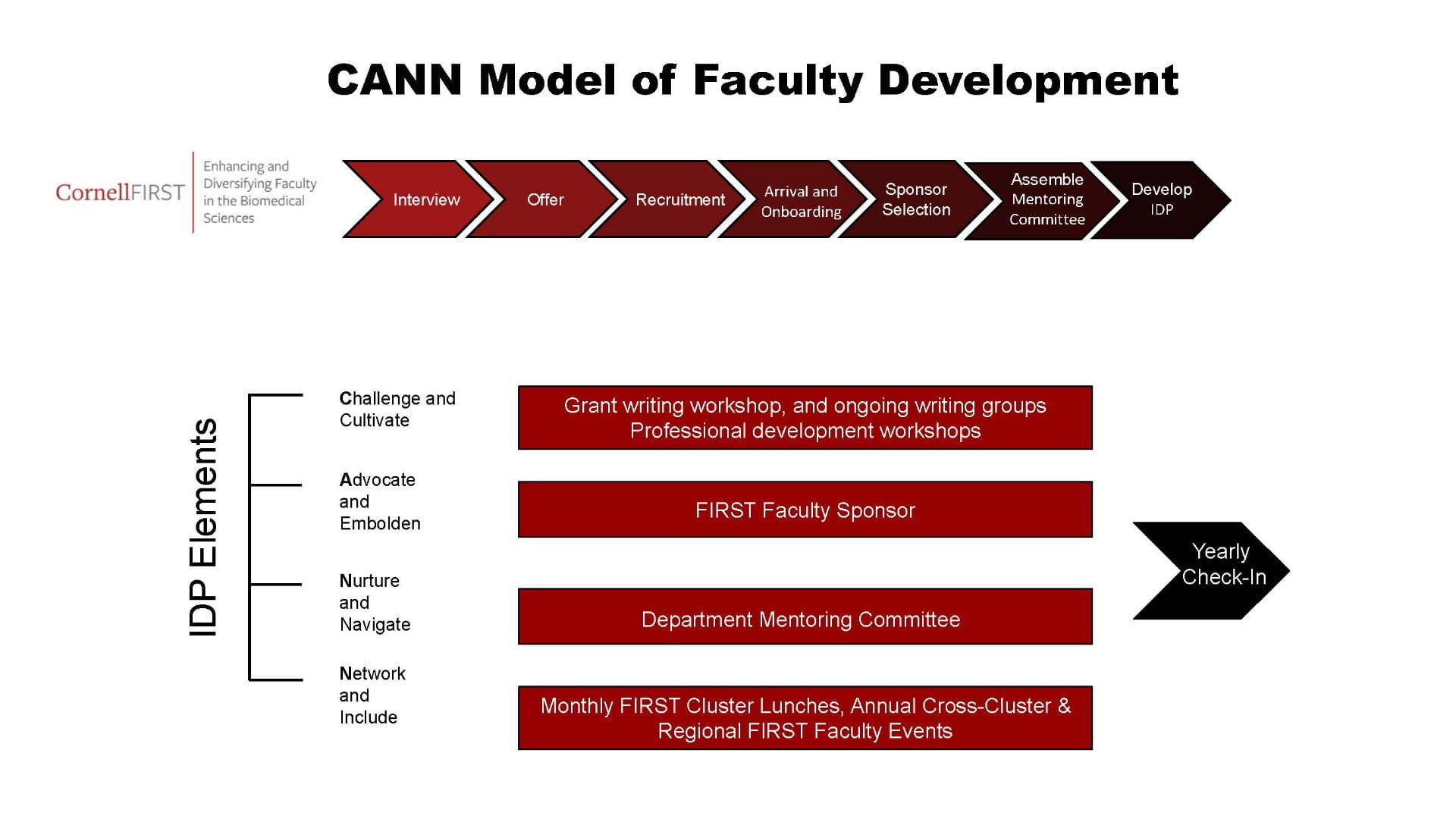 Cornell FIRST CANN Model of Faculty Development